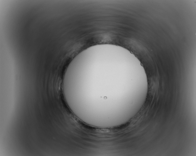 X0000088480230200705221008