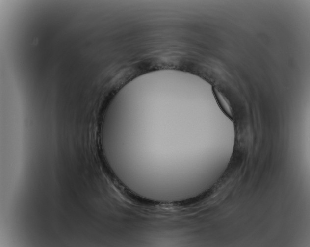 X0000088480231200705221008