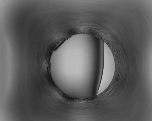 X0000088480235200705221008