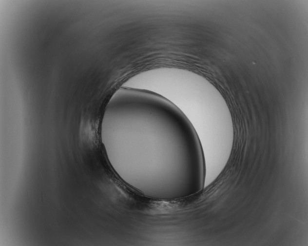 X0000088480239200705221007