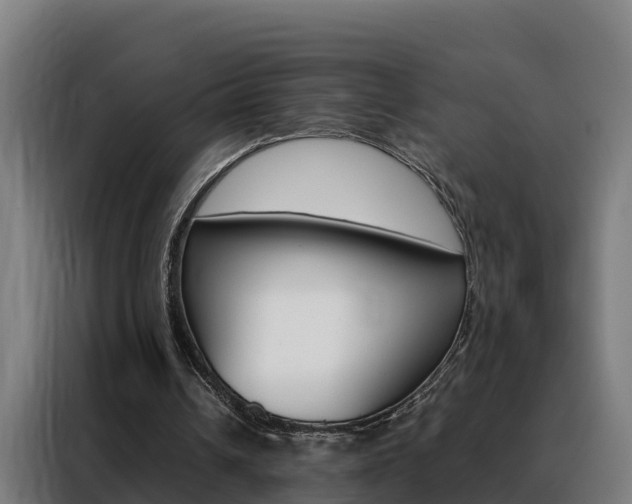 X0000088480242200705221007