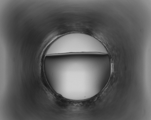 X0000088480243200705221007