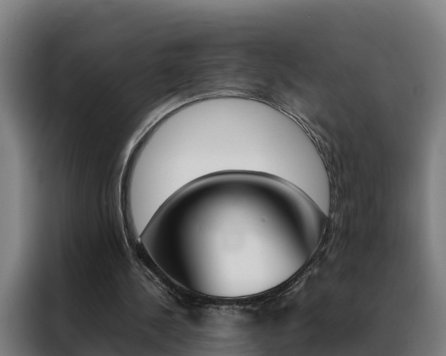 X0000088480244200705221007