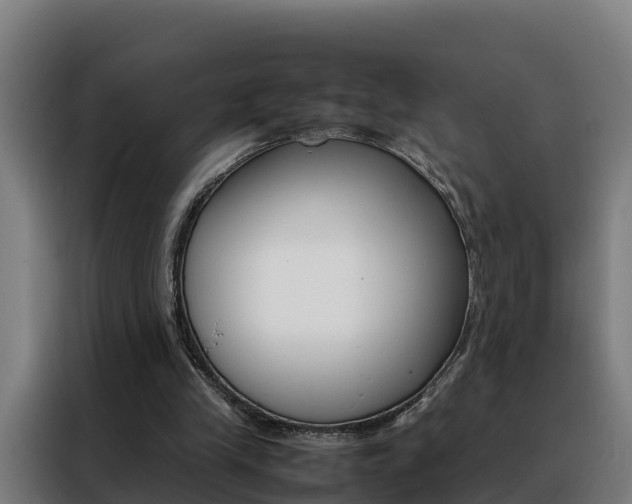 X0000088480245200705221007