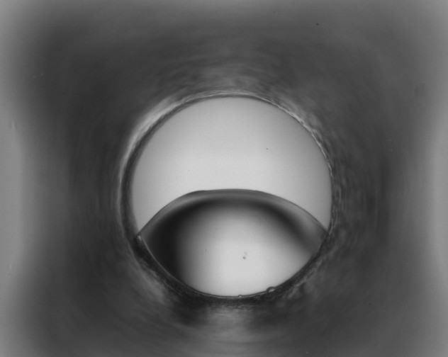 X0000088480248200705221007