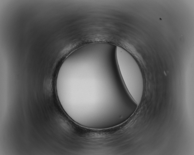 X0000088480250200705221007