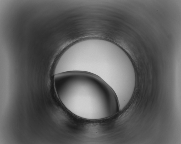 X0000088480252200705221007
