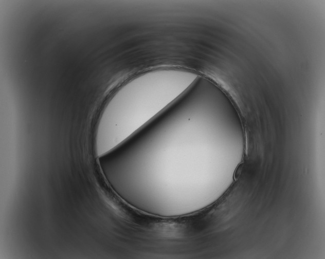 X0000088480253200705221007