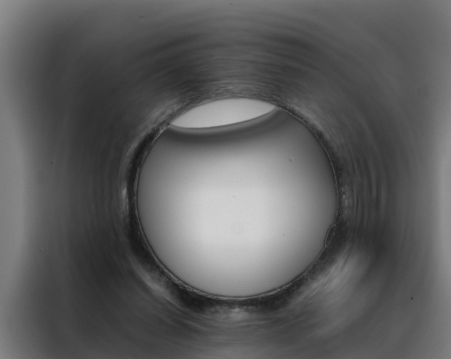 X0000088480254200705221007