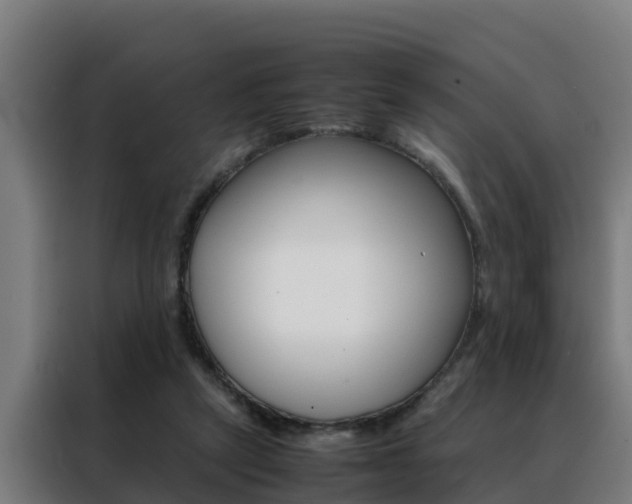 X0000088480257200705221007