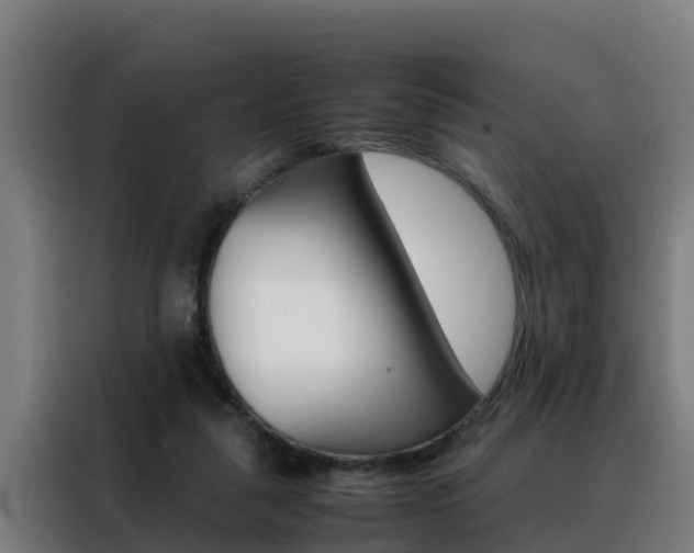 X0000088480259200705221007