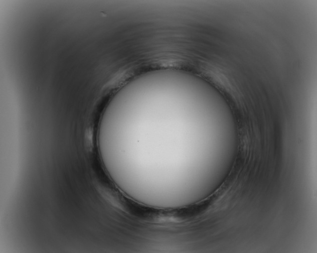 X0000088480262200705221007