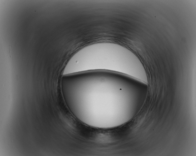 X0000088480263200705221007