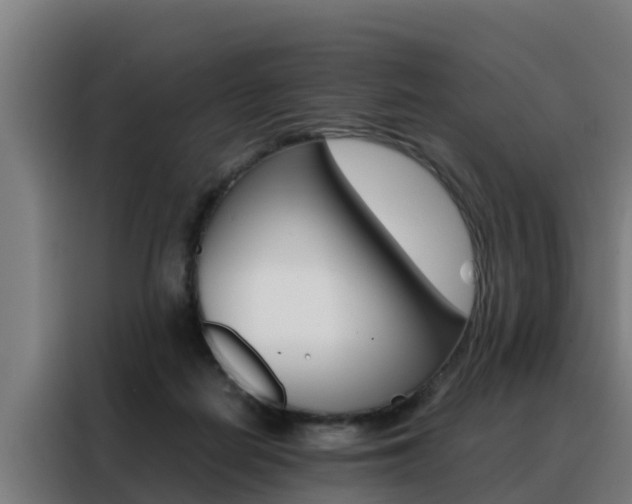 X0000088480266200705221007