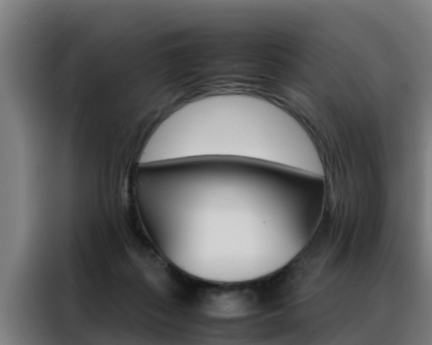 X0000088480267200705221007