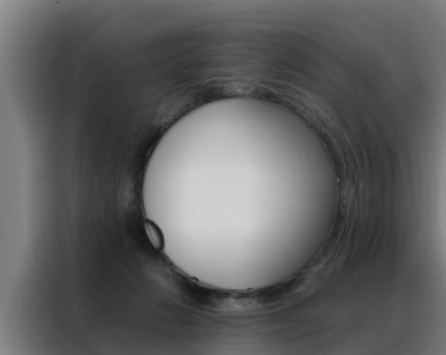 X0000088480270200705221007