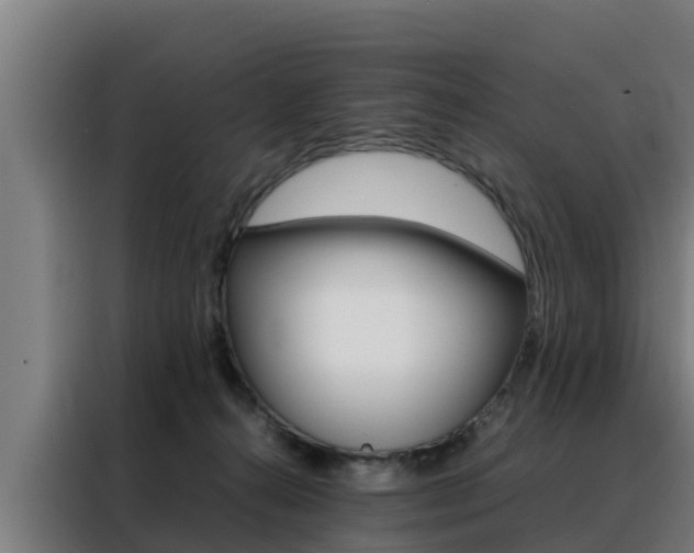 X0000088480272200705221007