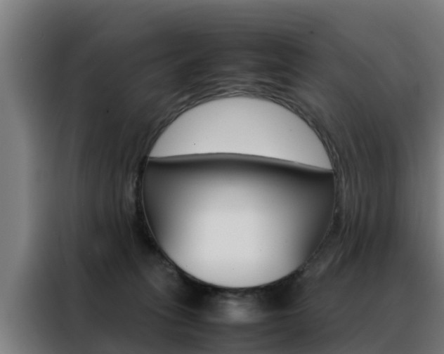 X0000088480275200705221007