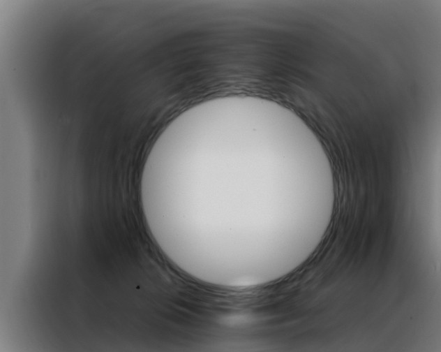 X0000088480276200705221007