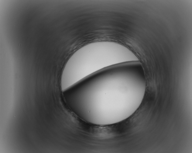 X0000088480277200705221007