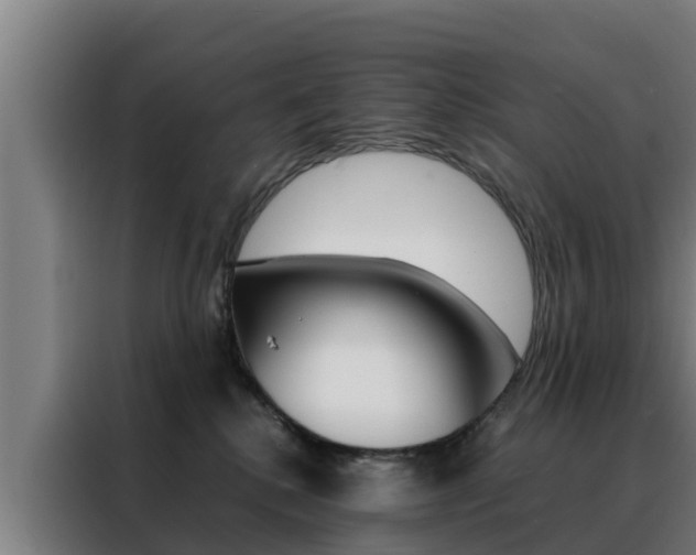 X0000088480280200705221007