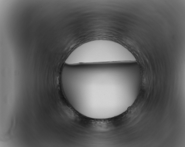 X0000088480282200705221007