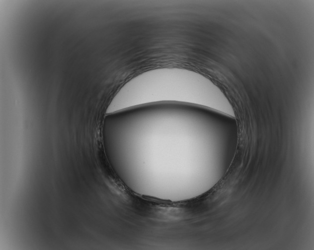 X0000088480284200705221007