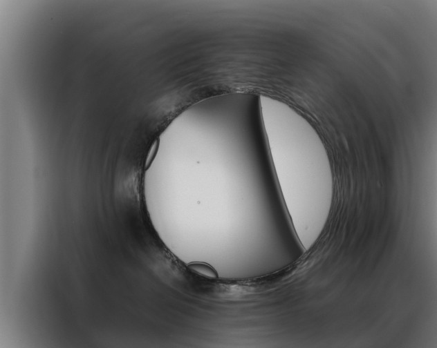 X0000088480286200705221007