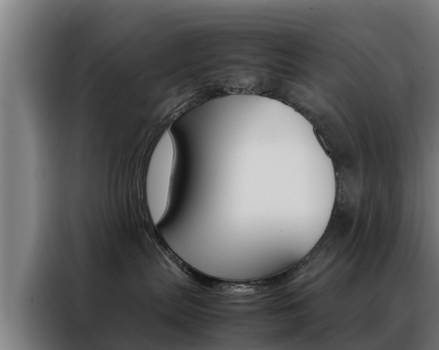 X0000088480287200705221007