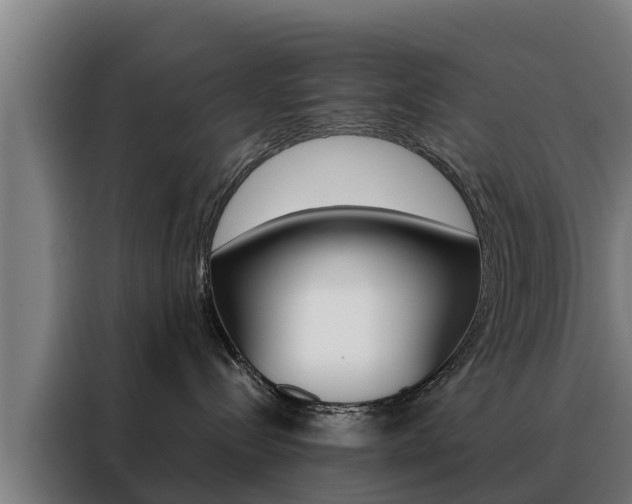 X0000088480288200705221007