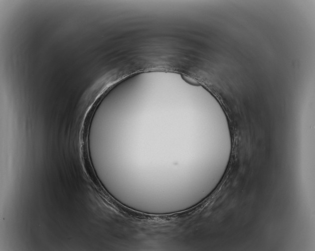 X0000088480290200705221007