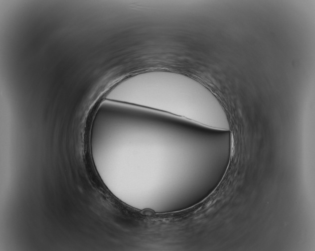 X0000088480291200705221007