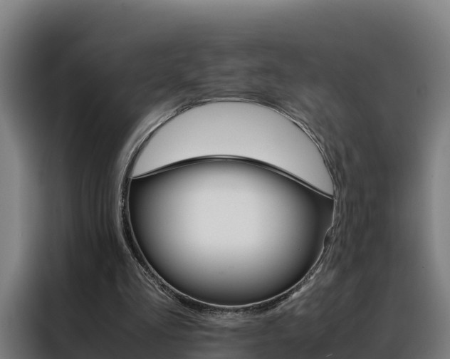 X0000088480293200705221007