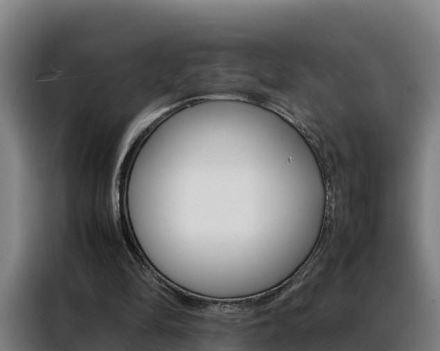 X0000088480294200705221007