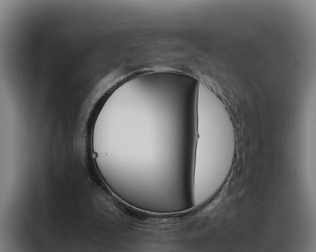 X0000088480295200705221007
