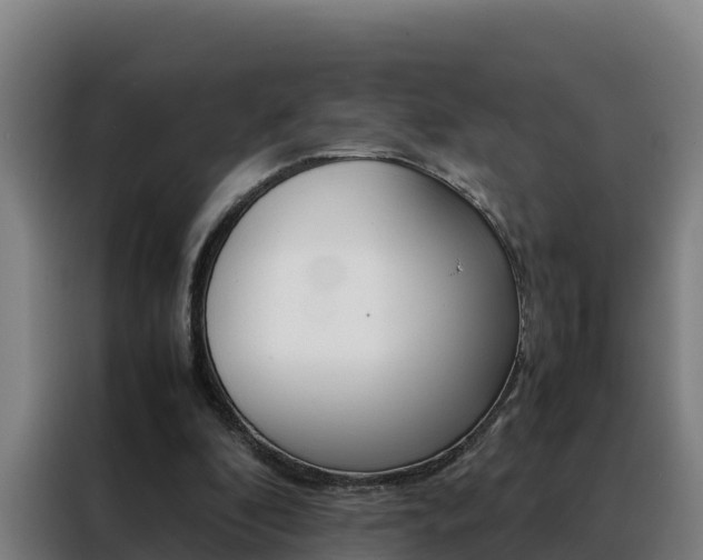 X0000088480296200705221007