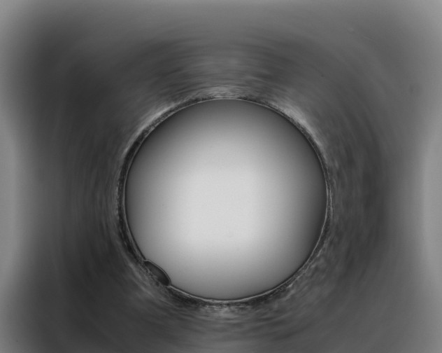X0000088480297200705221007