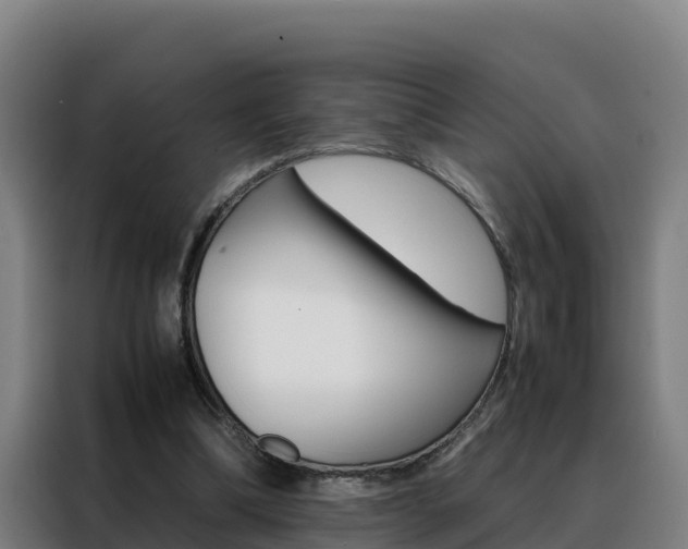X0000088480298200705221007