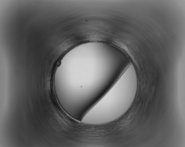 X0000088480299200705221007