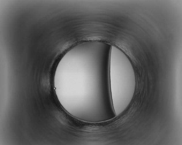 X0000088480300200705221007