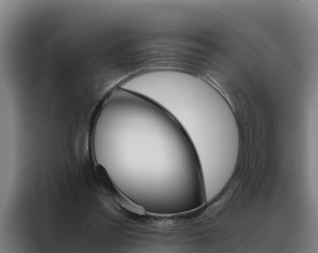 X0000088480301200705221007