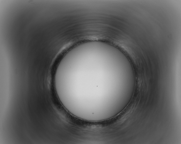 X0000088480304200705221007