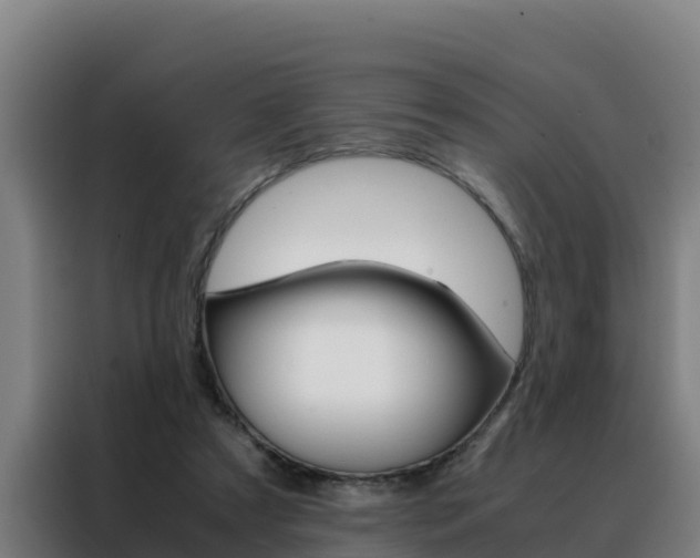 X0000088480305200705221007