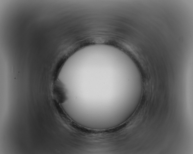 X0000088480307200705221007