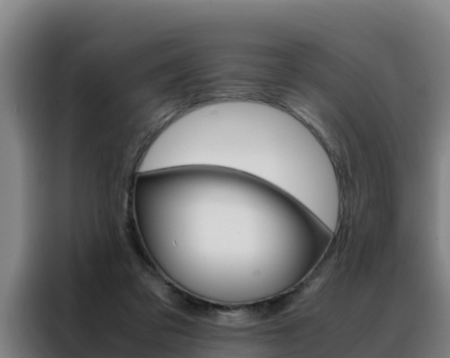 X0000088480309200705221007