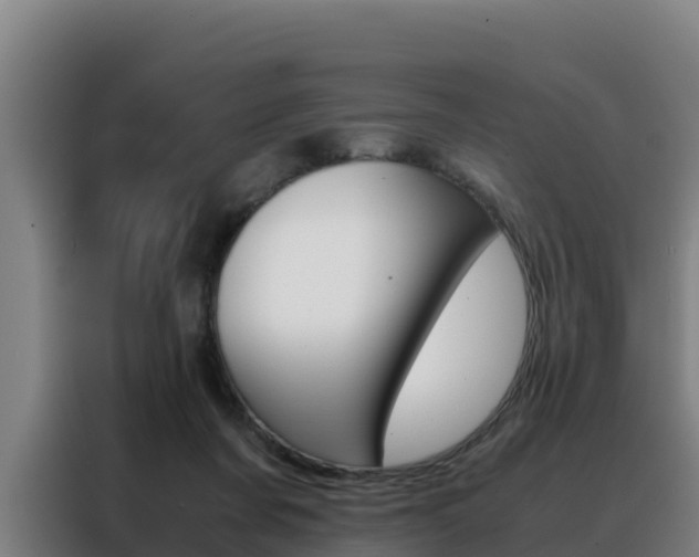 X0000088480311200705221007