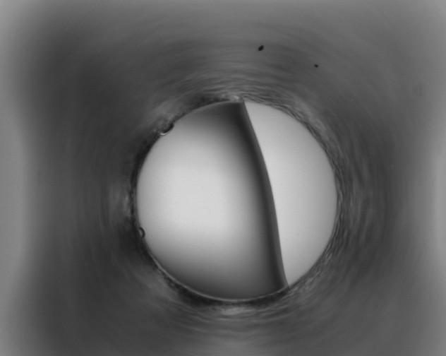X0000088480313200705221006