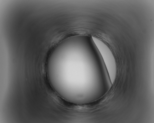 X0000088480317200705221006