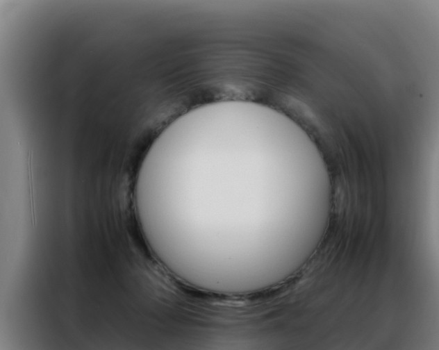 X0000088480318200705221006