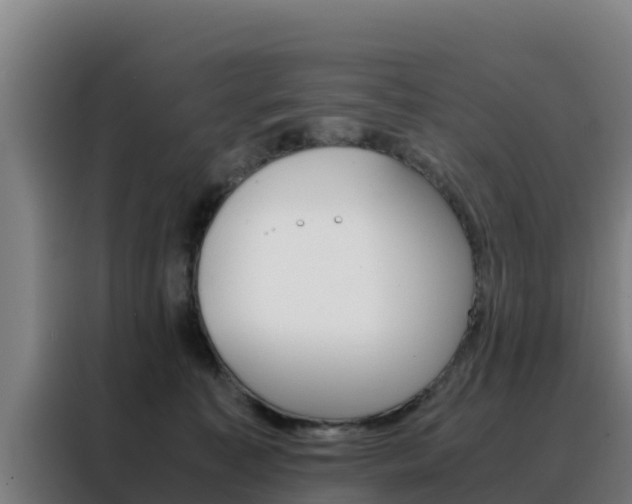 X0000088480323200705221006